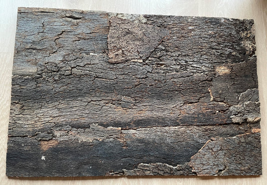 Håndlavet vægpanel i naturkork 60X90 cm brændt bark COSTA